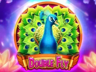 Double Fly thumbnail